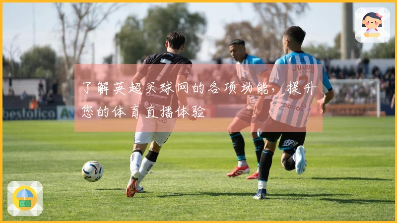 了解英超买球网的各项功能，提升您的体育直播体验