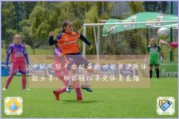 中欧买球平台的最新功能与使用体验分享，助你轻松享受体育直播