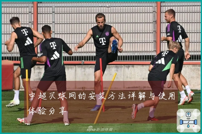 中超买球网的安装方法详解与使用体验分享