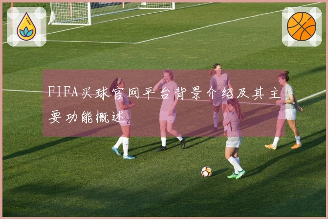 FIFA买球官网平台背景介绍及其主要功能概述