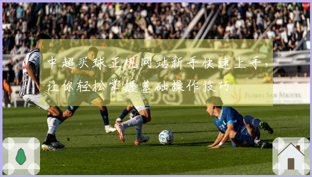 中超买球正规网站新手快速上手，让你轻松掌握基础操作技巧