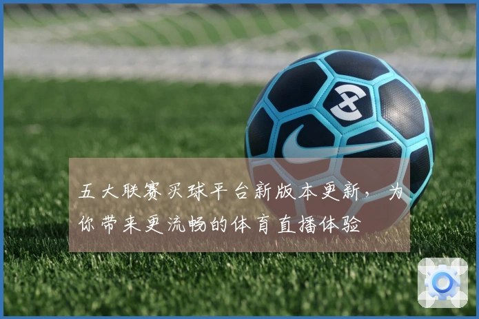 五大联赛买球平台新版本更新，为你带来更流畅的体育直播体验