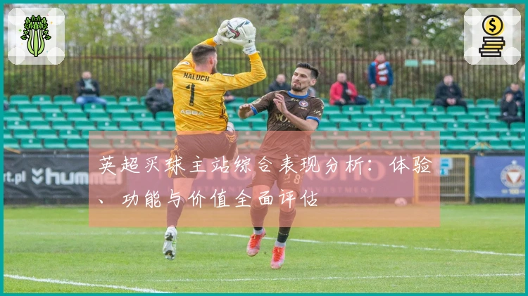 英超买球主站综合表现分析：体验、功能与价值全面评估