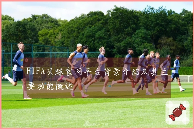 FIFA买球官网平台背景介绍及其主要功能概述