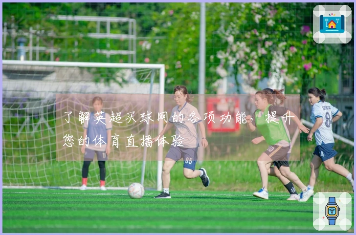 了解英超买球网的各项功能，提升您的体育直播体验